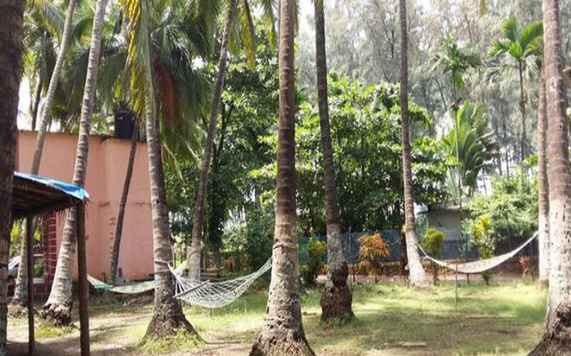 Mhatre Wadi Holiday Resort, Alibaug 5